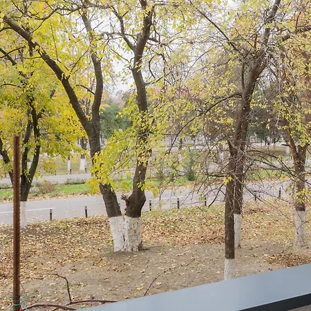 Park With Large Patio & Nature Therapy * 부쿠레슈티