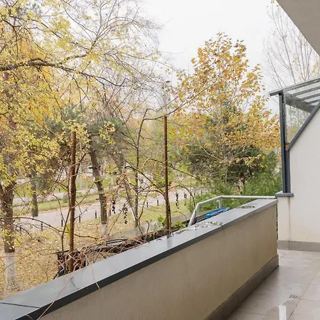 Park With Large Patio & Nature Therapy