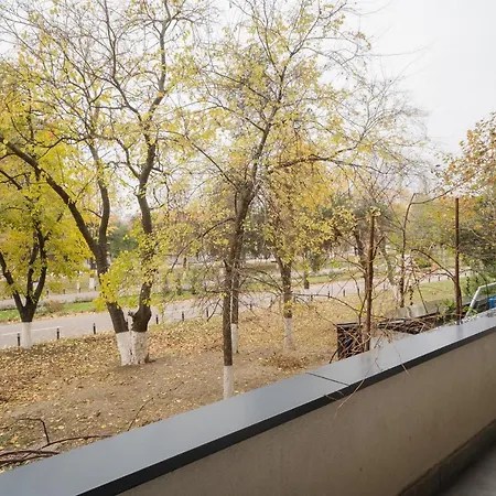 Park With Large Patio & Nature Therapy Bucharest