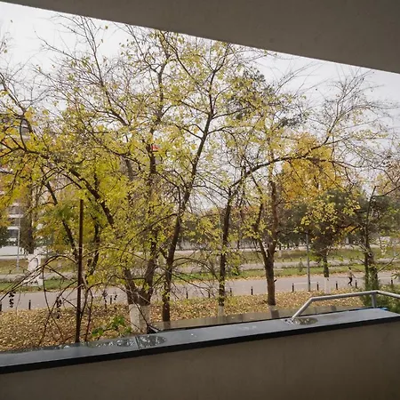 Park With Large Patio & Nature Therapy