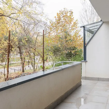 Park With Large Patio & Nature Therapy